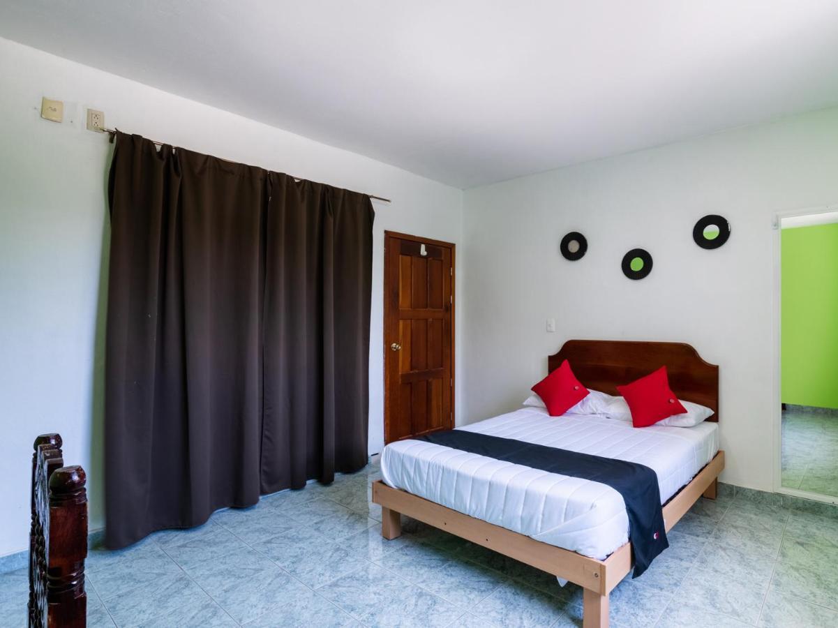 Capital O Hotel El Faisan Y El Venado Πλάγια Ντελ Κάρμεν Εξωτερικό φωτογραφία